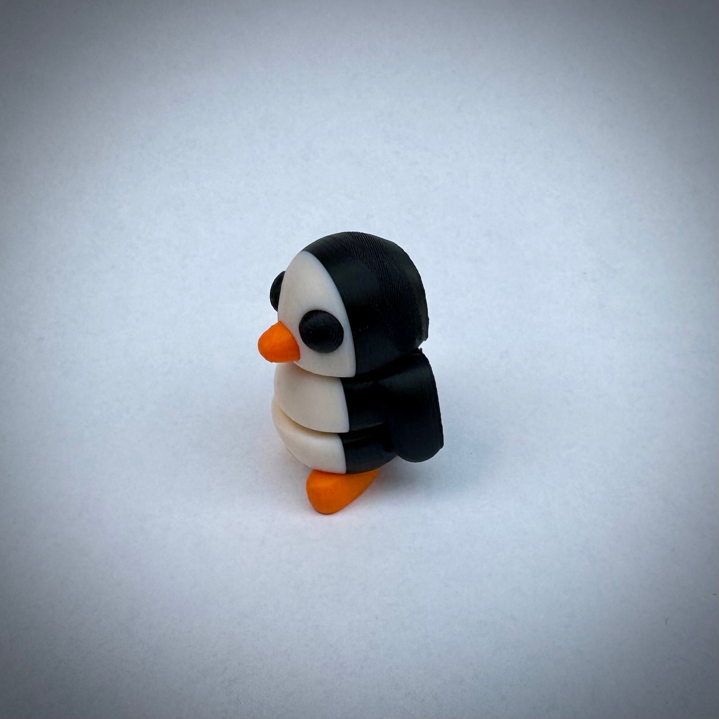 Baby pinguin