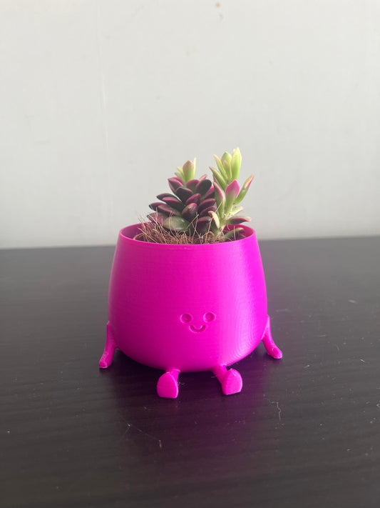 Smile bloempot