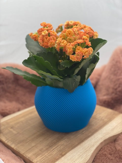 Bloempot Elunith