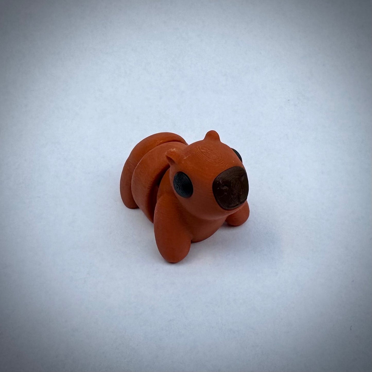 Baby capibara