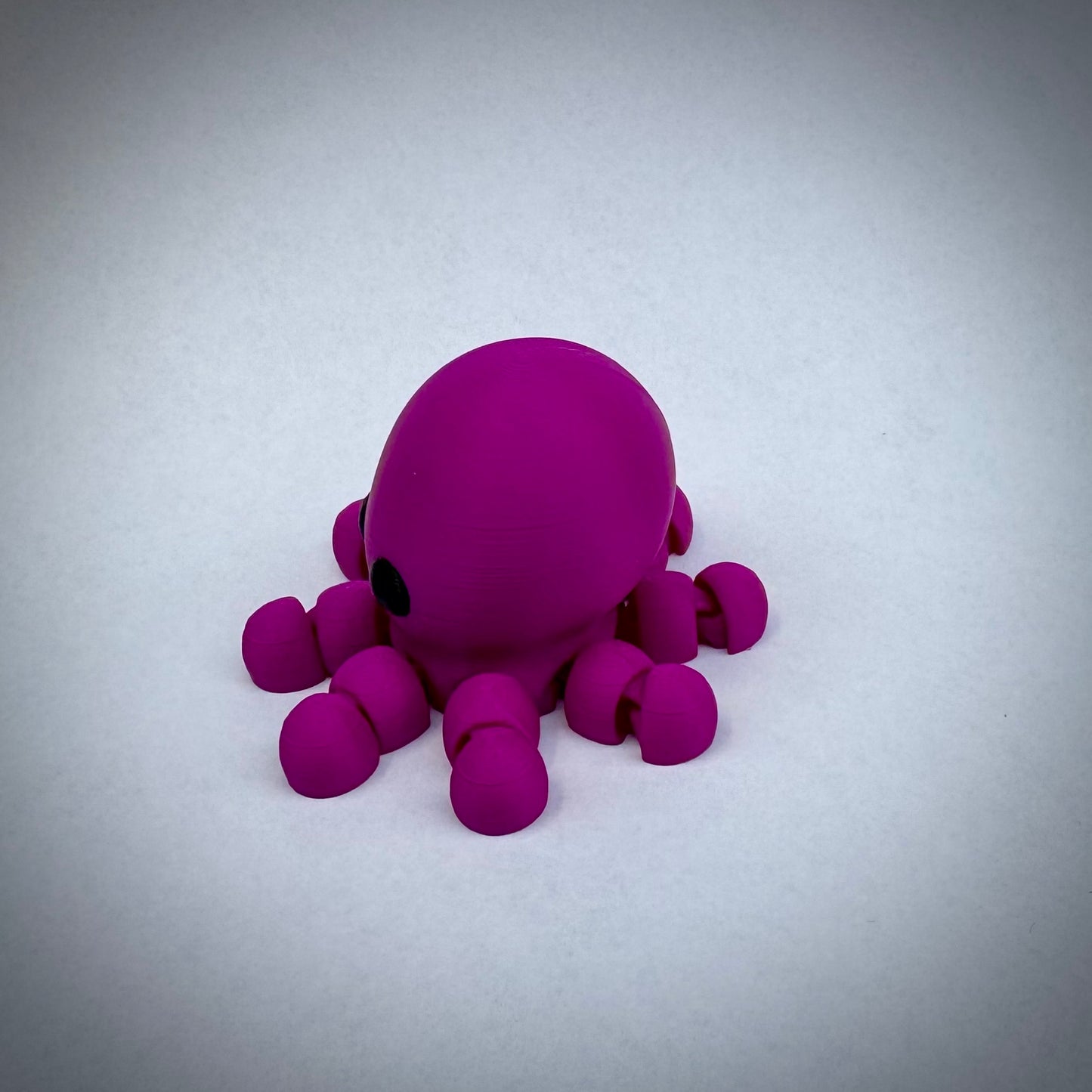 Baby octopus