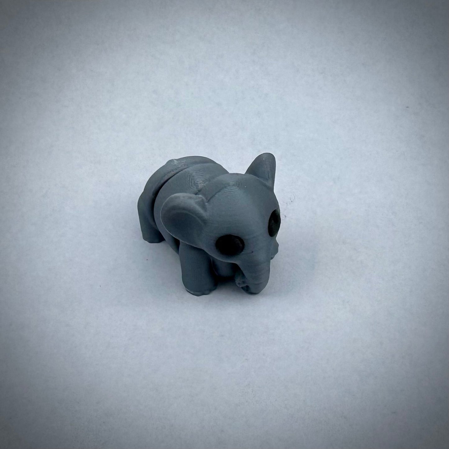 Baby olifant