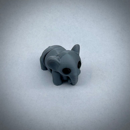 Baby olifant