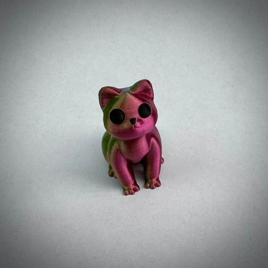 Baby kat